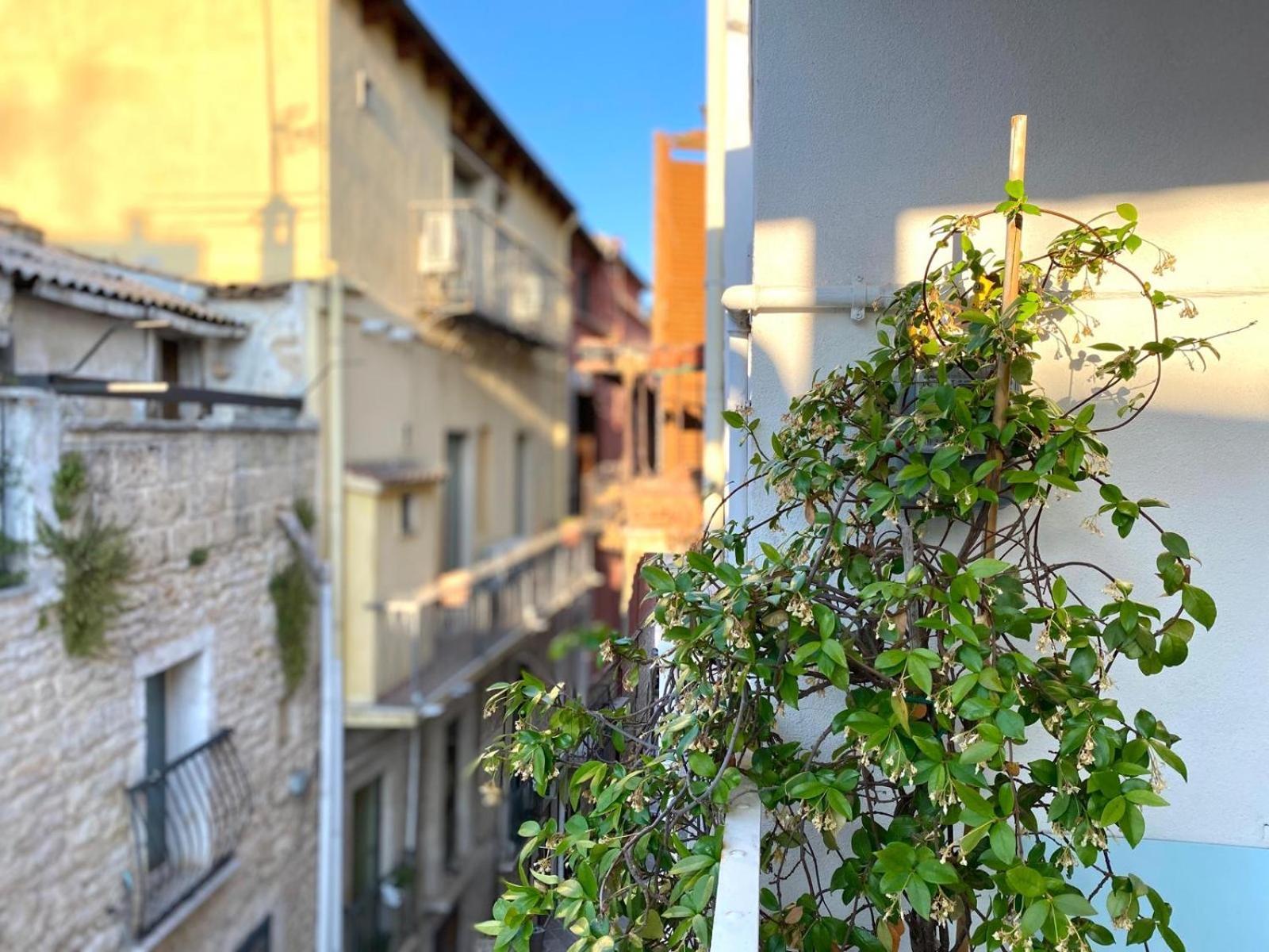 Altrelli Rooms Corato Exterior foto
